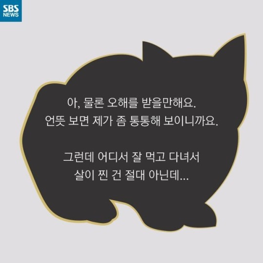 "살찐 거 아니에요 부은 거예요"(길고양이) | 인스티즈