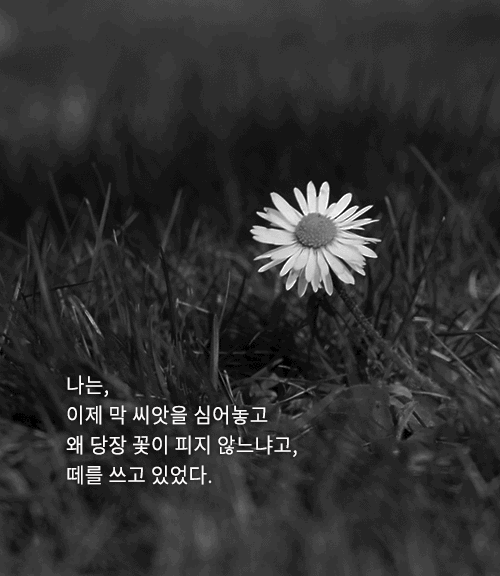 삶의 자극을 주는 좋은글.gif | 인스티즈