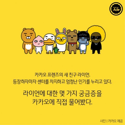 라이언에 대한 궁금증 몇가지 | 인스티즈