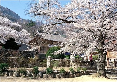 씨네포엠 이미지
