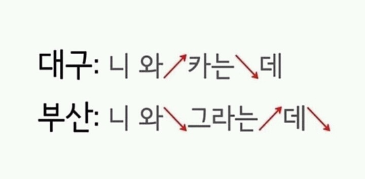 대구사투리와 부산사투리의 차이.jpg | 인스티즈