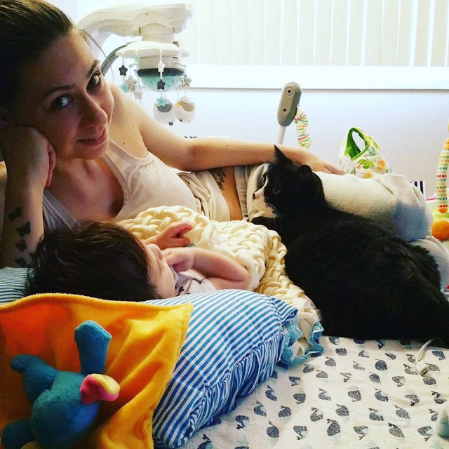 아기가 태어나기 전부터 사랑에 빠진 고양이 | 인스티즈