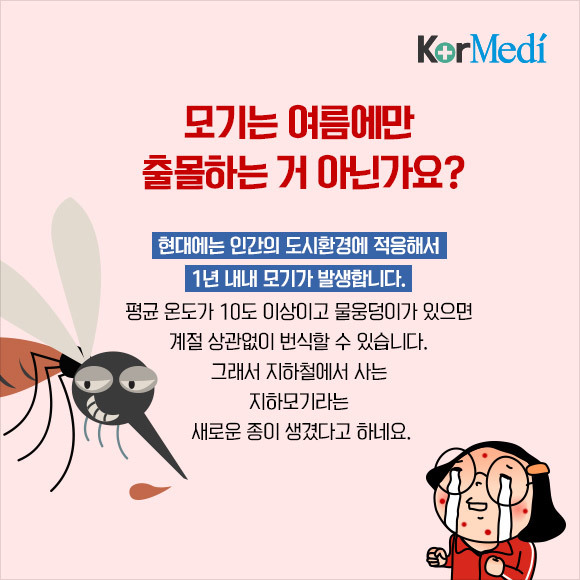 해충에 대한 오해와 진실(feat.바퀴)_약혐주의 | 인스티즈