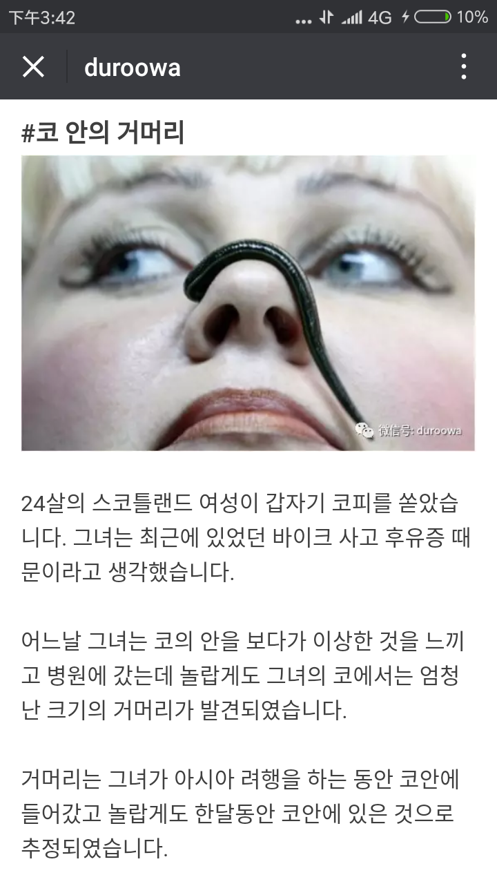 몸에서 나온 생명체들 (혐오주의) | 인스티즈