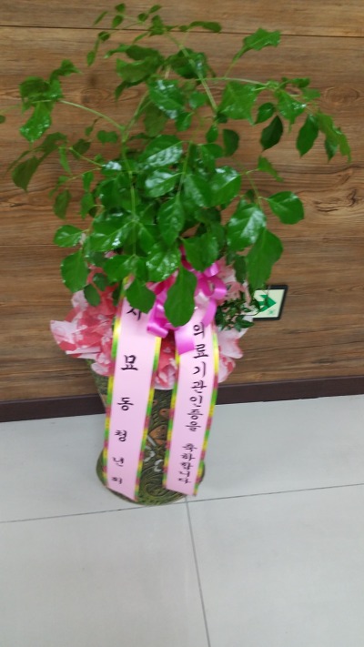 이시아요양병원 이미지