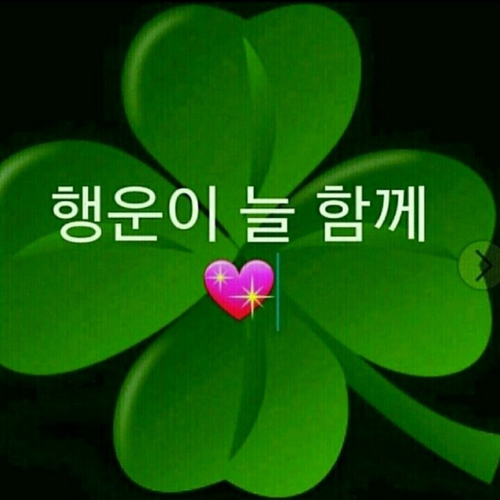 행운 이미지