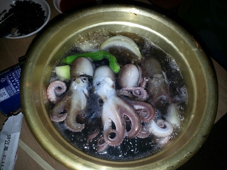 바다사냥 이미지