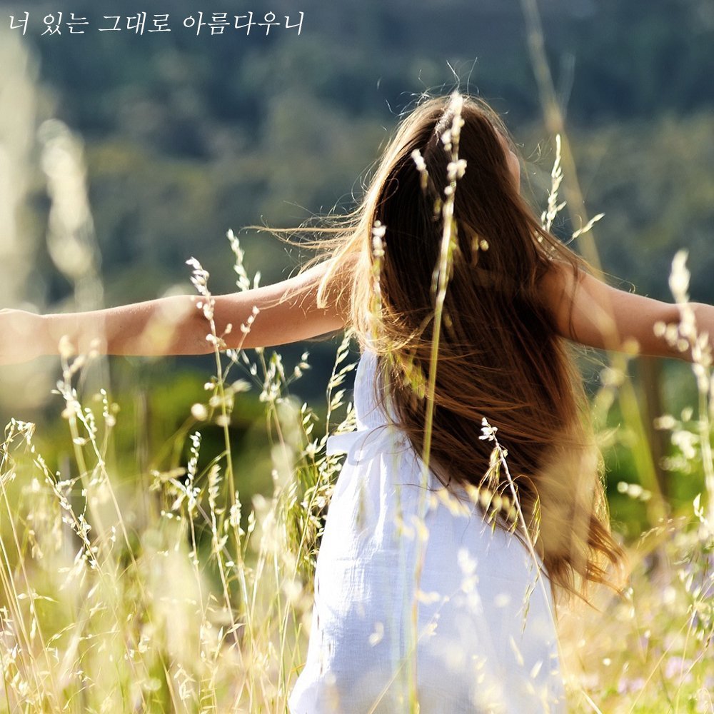 오르다 이미지