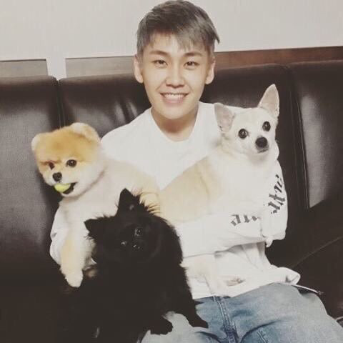 샵에서 사지않고 유기견,유기묘 키우는 연예인들 | 인스티즈