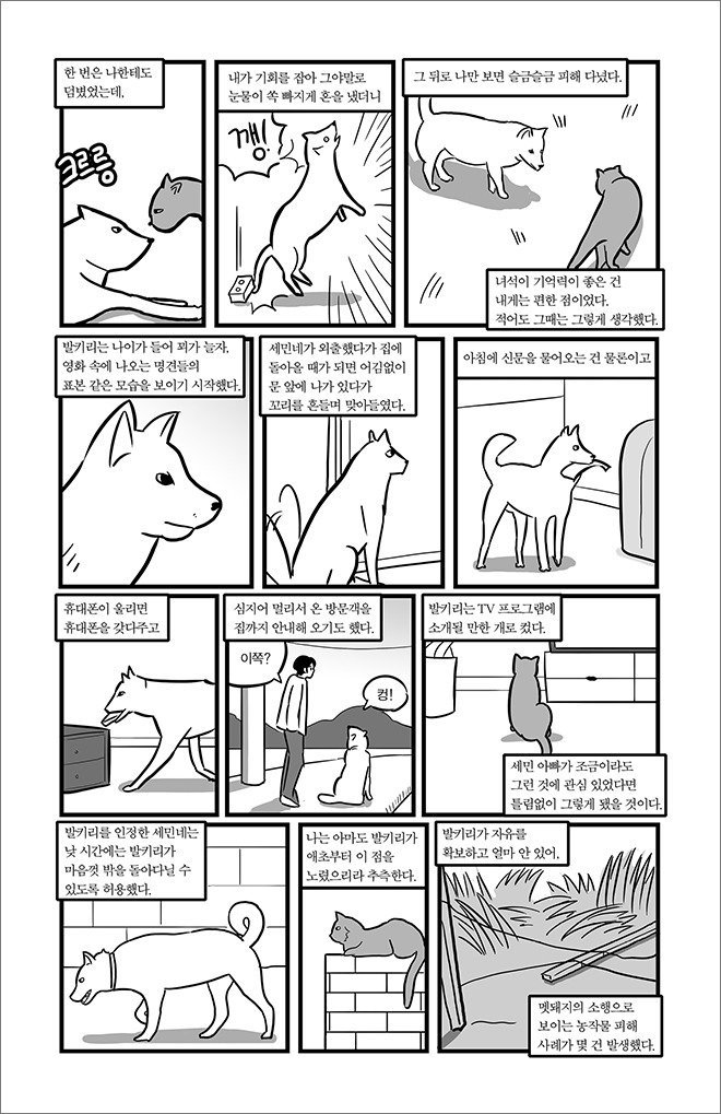 묘생만경 | 인스티즈
