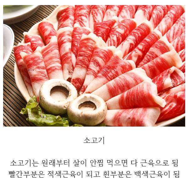 다이어트 개 꿀 Tip | 인스티즈