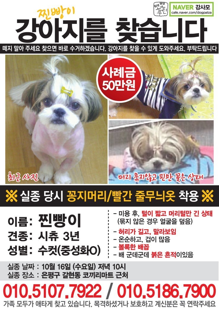 빵이가 이미지