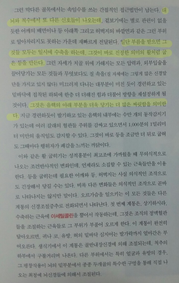 왜 그녀의 허리는 활처럼 휘는가 (성적 쾌감의 원리) | 인스티즈