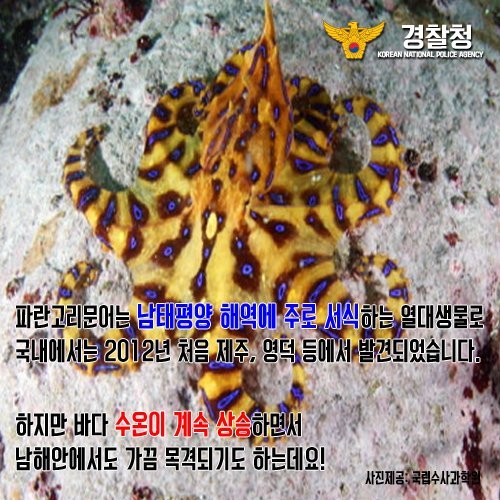 바닷가에서 맨손으로 잡으면 안되는 이것! | 인스티즈