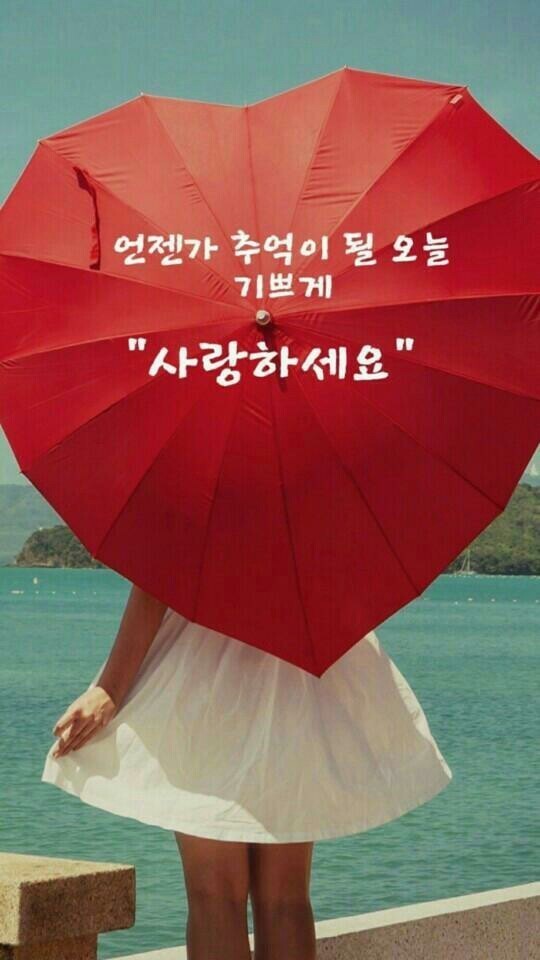 엘림핸드백 이미지