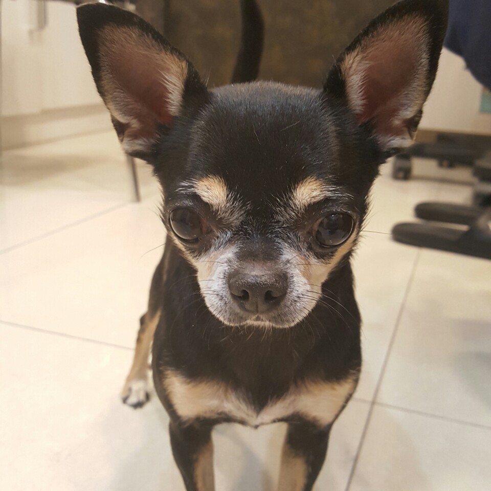 예스플러스치과 이미지