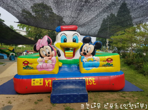 동산스포츠 이미지