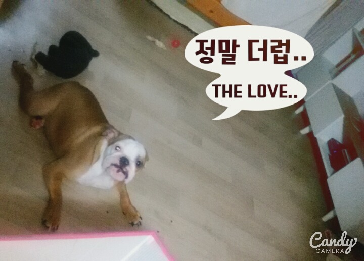 뽕자 이미지