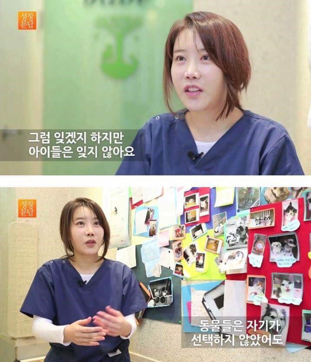 동물을 좋아하는 사람이 동물을 버린단 말이에요 | 인스티즈