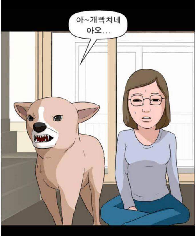 동물들이 말을 할 수 있다면 일어나는 일 | 인스티즈
