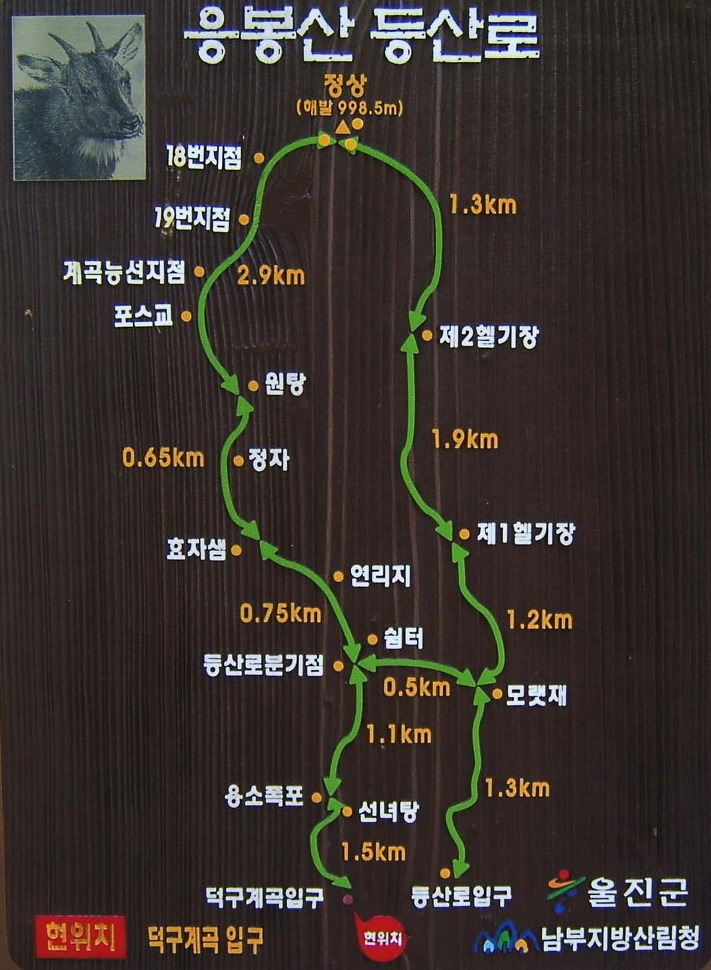 개인화물3655 이미지