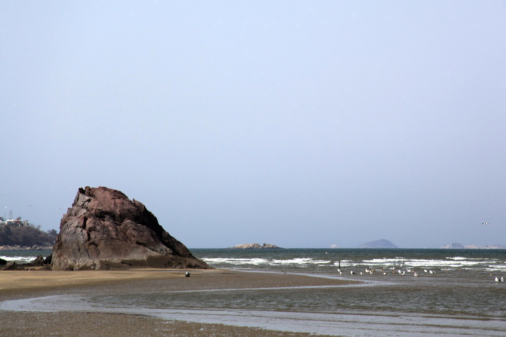 변산반도젓갈 이미지