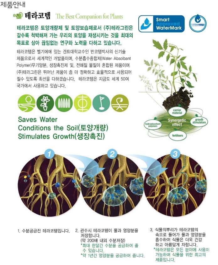 코템 이미지