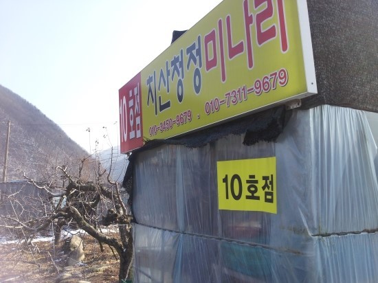 치산미나리 이미지