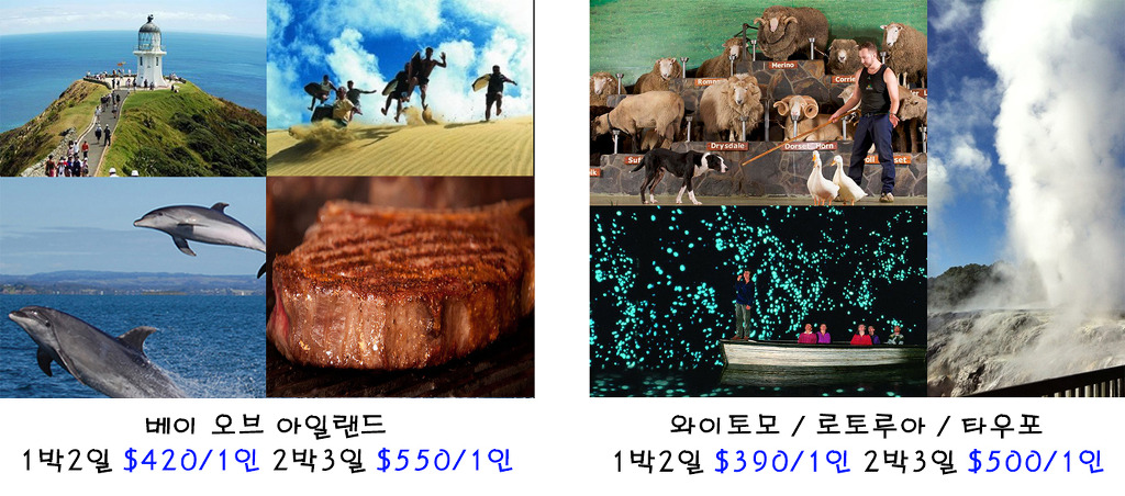 스페셜여행사 이미지