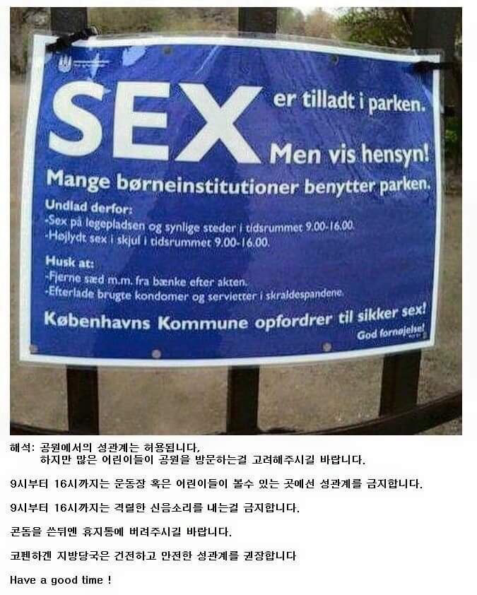 덴마크의 성문화.jpg | 인스티즈