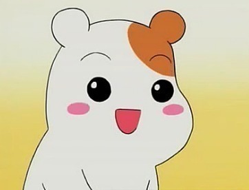 19이미지 원탑 아이돌.jpg | 인스티즈