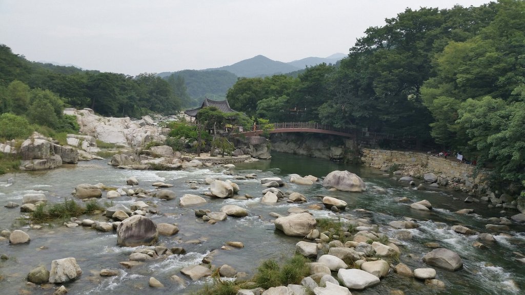 예송식당 이미지
