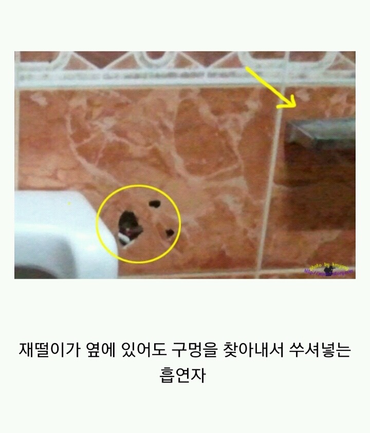 꽁초충 길빵충 가래충이 시룸인 이유 (feat.푸념주의) | 인스티즈