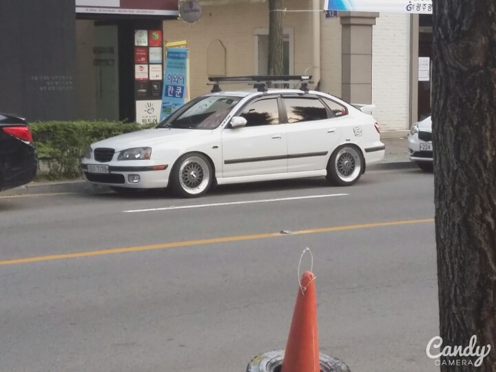 윙바이오 이미지