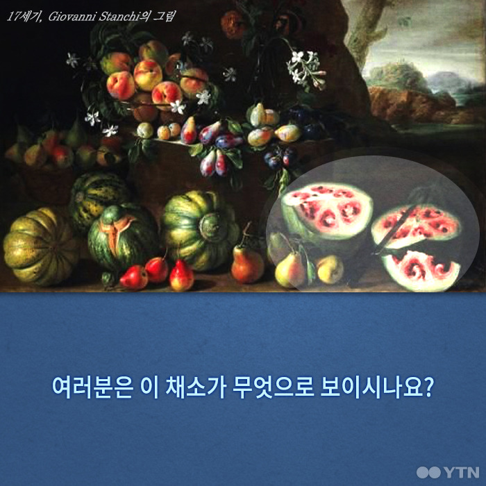 당신이 모르는 수박의 숨겨진 과거 | 인스티즈