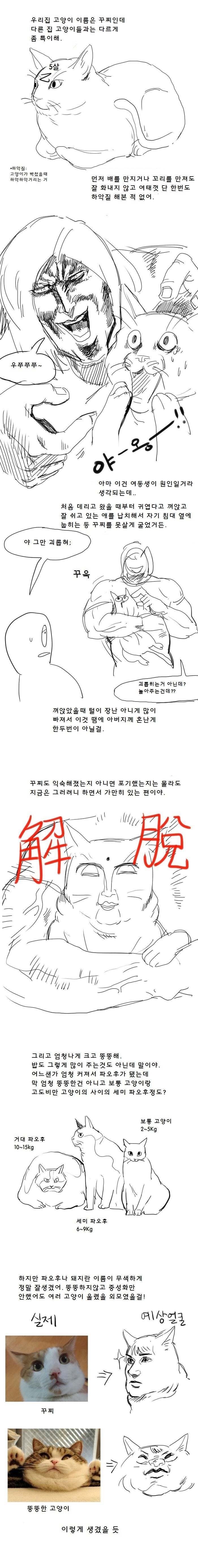 [만화] 우리집 똥 고양이 이야기 | 인스티즈