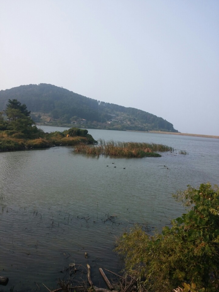 미미수산 이미지