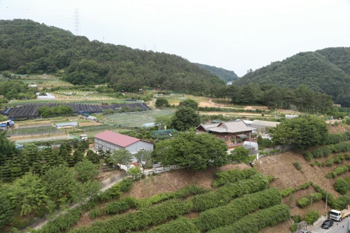 시골 이미지