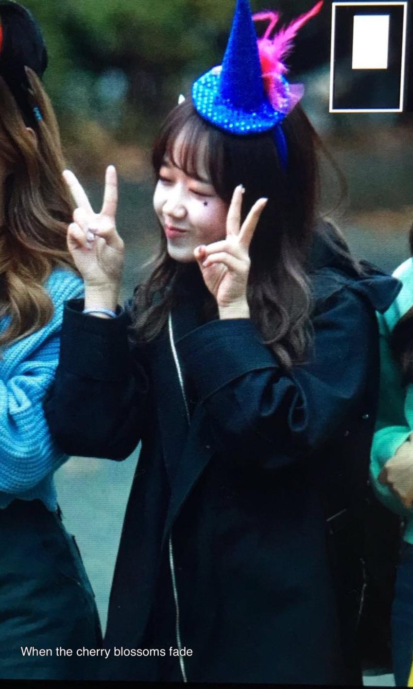 ioi 할로윈때 졸 커여웠떤 뮤뱅 출근 아이오아이 최유정 (I.O.I) | 인스티즈