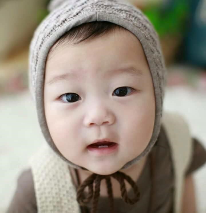 와 ㅋㅋㅋㅋ 설날부터 대박이네요 | 인스티즈