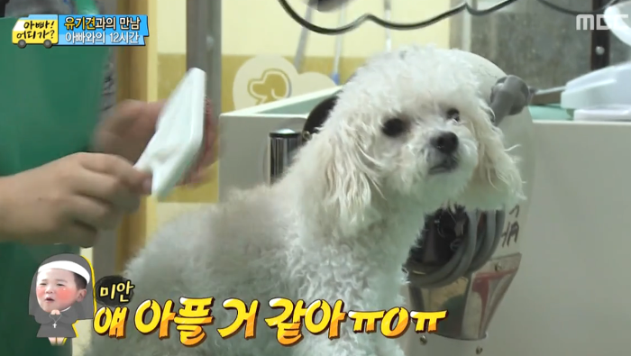 [아빠어디가] 유기견을 대하는 윤후의 태도 .jpg | 인스티즈