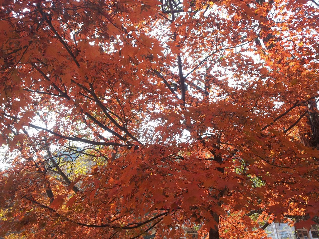 선진자원 이미지