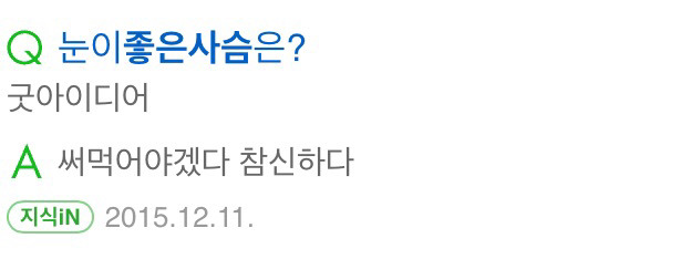 눈이 좋은 사슴은? | 인스티즈