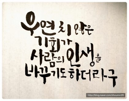 풀향 이미지