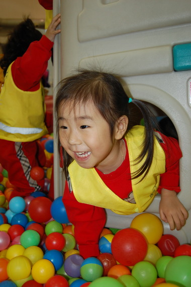 콩콩 & 조이 이미지