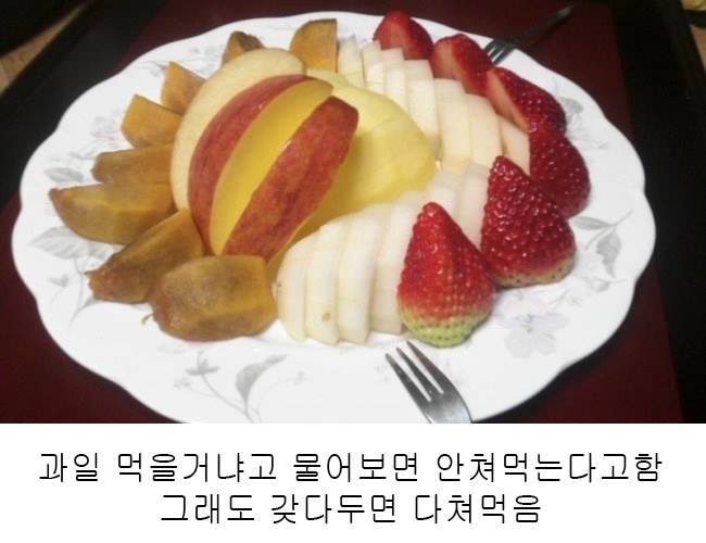 아들들 집에 있을 때 특징.jpg | 인스티즈