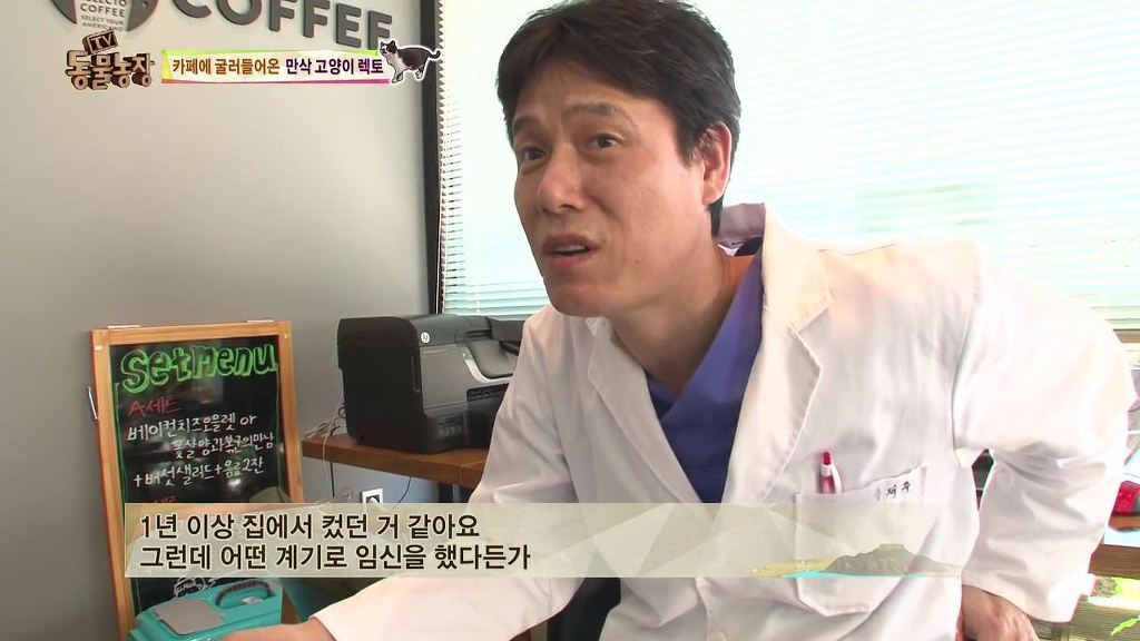 동물농장 [카페에굴러들어온고양이렉토] | 인스티즈