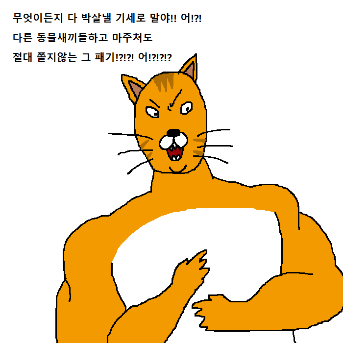 상남자 고양이의 아들 교육법 | 인스티즈