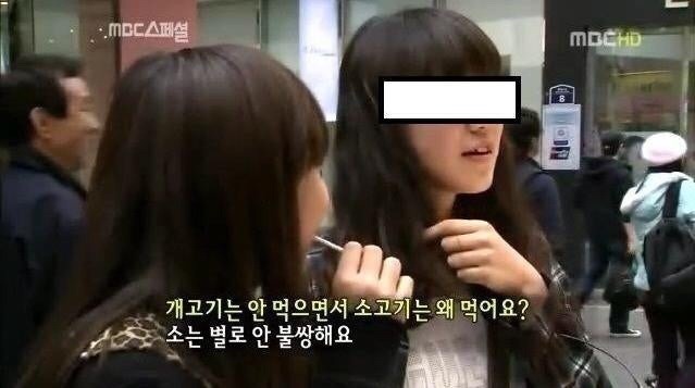 도축 당할 소들의 눈물 | 인스티즈