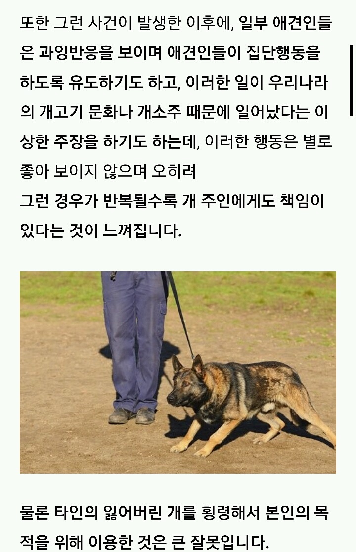 사랑하는 내 동생은 개소주가 되어서 돌아왔고 저는 개소주녀가 되었습니다 | 인스티즈
